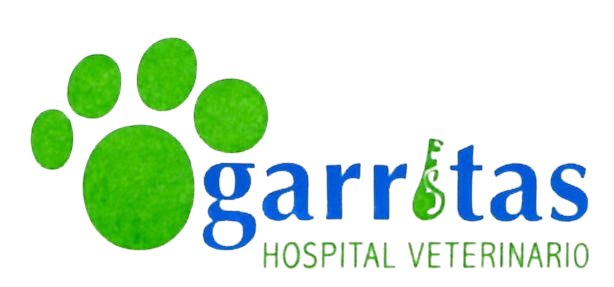 Garritas Logo